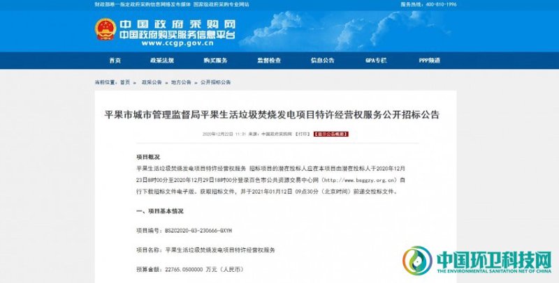平果网站建设